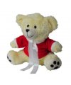 Plush toy-teddy bear