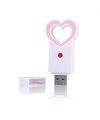 Meilės Flash USB raktas Lovero