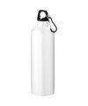 Pacific bottle with carabiner