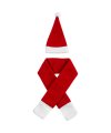 Honka Christmas scarf and hat bottle decoration