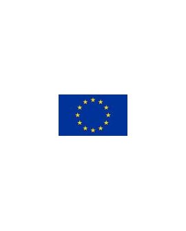 ES stalinė vėliavėlė